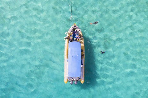 Ocean Safari Great Barrier Reef Experience In Cape Tribulation - Inverell Accommodation 17