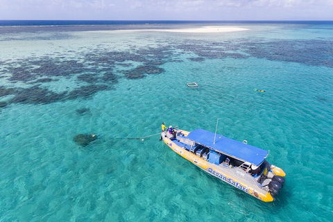 Ocean Safari Great Barrier Reef Experience In Cape Tribulation - Inverell Accommodation 11