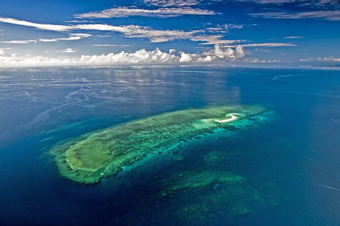 Ocean Safari Great Barrier Reef Experience In Cape Tribulation - Inverell Accommodation 15