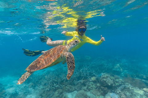 Ocean Safari Great Barrier Reef Experience In Cape Tribulation - Inverell Accommodation 14