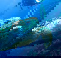 Scuba Dive the S.S. Yongala Wreck on the Great Barrier Reef. - Inverell Accommodation