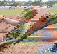 Camel Farm Deluxe Experience - Inverell Accommodation