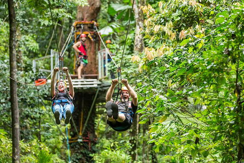 Cape Tribulation Jungle Surfing Canopy Tour - Inverell Accommodation 1