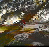 Brisbane Bike Tour - Inverell Accommodation