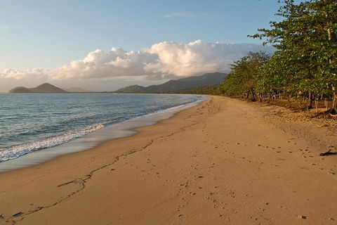 Cairns Reef And Rainforest Combo: Daintree Rainforest And The Great Barrier Reef - Inverell Accommodation 10