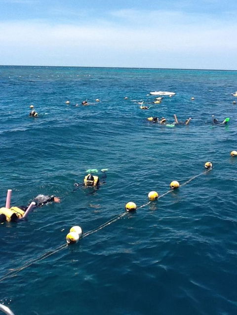 Quicksilver Outer Great Barrier Reef Snorkel Cruise From Port Douglas - Inverell Accommodation 2