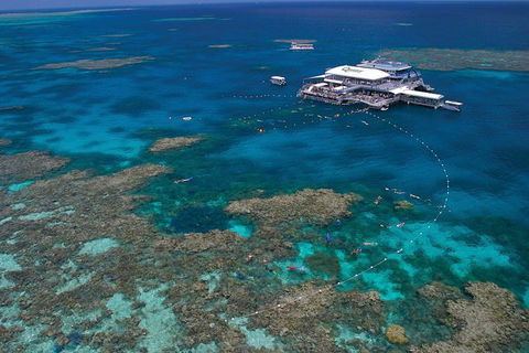 Quicksilver Outer Great Barrier Reef Snorkel Cruise From Port Douglas - Inverell Accommodation 0