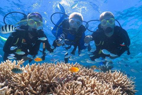 Quicksilver Outer Great Barrier Reef Snorkel Cruise From Port Douglas - Inverell Accommodation 6