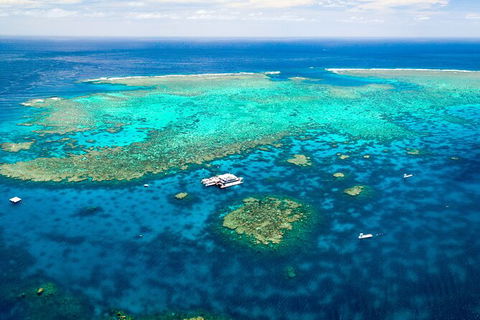 Quicksilver Outer Great Barrier Reef Snorkel Cruise From Port Douglas - Inverell Accommodation 5