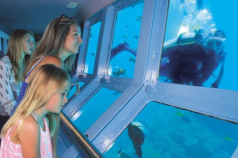 Quicksilver Outer Great Barrier Reef Snorkel Cruise From Port Douglas - Inverell Accommodation 8