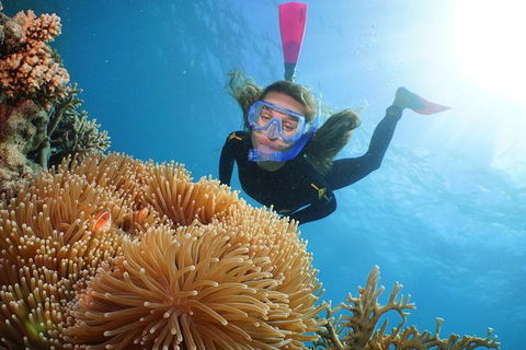 Quicksilver Outer Great Barrier Reef Snorkel Cruise From Port Douglas - Inverell Accommodation 9