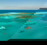 Great Barrier Reef Dive and Snorkel Cruise from Mission Beach - Inverell Accommodation