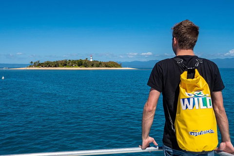 Half Day Low Isles Snorkelling Tour From Port Douglas - Inverell Accommodation 1