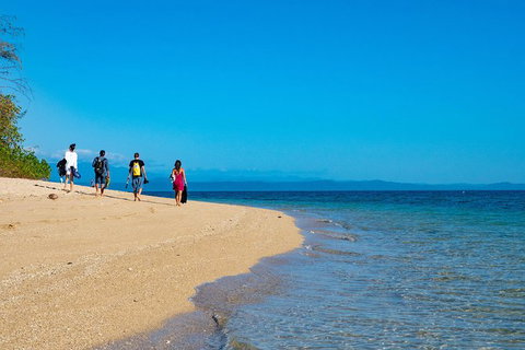 Half Day Low Isles Snorkelling Tour From Port Douglas - Inverell Accommodation 3