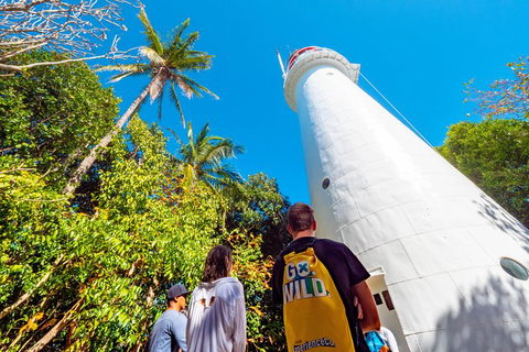 Half Day Low Isles Snorkelling Tour From Port Douglas - Inverell Accommodation 7