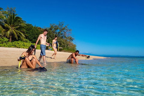 Half Day Low Isles Snorkelling Tour From Port Douglas - Inverell Accommodation 2