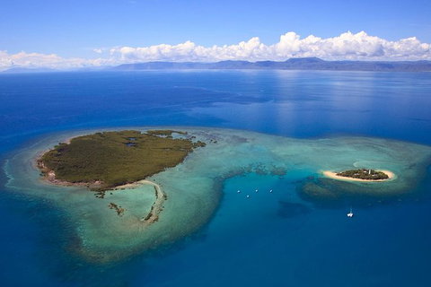 Half Day Low Isles Snorkelling Tour From Port Douglas - Inverell Accommodation 4