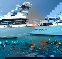 Great Barrier Reef Cruise from Townsville or Magnetic Island - Inverell Accommodation