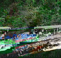 Daintree River Cruise - Inverell Accommodation