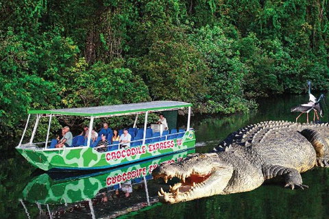 Daintree River Cruise - Inverell Accommodation 7