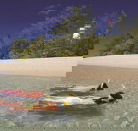 Wavedancer Low Isles Great Barrier Reef Sailing Cruise from Palm Cove - Inverell Accommodation