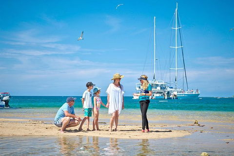 Wavedancer Low Isles Great Barrier Reef Sailing Cruise From Palm Cove - Inverell Accommodation 3