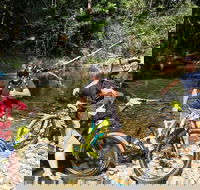 Electric Mountain Bike Rainforest Eco Tour - Inverell Accommodation