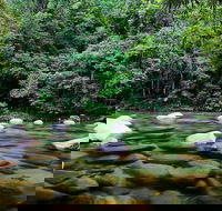 Mossman Silky Oaks to/from Cairns - Inverell Accommodation