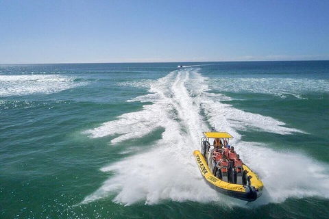 Noosa Oceanrider - Thrill Ride - Inverell Accommodation 2
