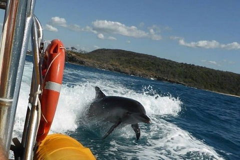 Noosa Oceanrider - Thrill Ride - Inverell Accommodation 4