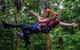 Daintree Atttractions Pass: The Best Of The Daintree In A Day - thumb 1
