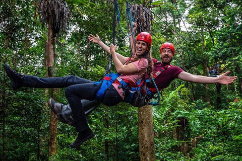 Daintree Atttractions Pass: The Best Of The Daintree In A Day - Inverell Accommodation 1
