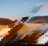 Uluru Ayers Rock Sunset with Outback Barbecue Dinner and Star Tour - Inverell Accommodation