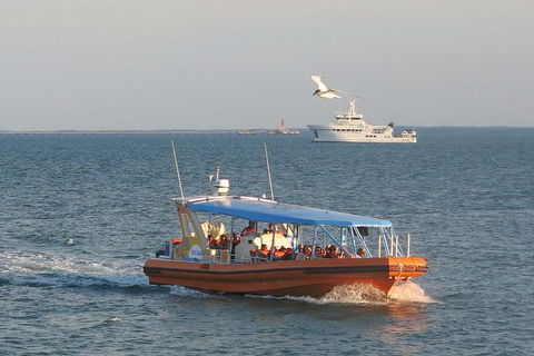 1-Hour Darwin Harbour Highlights Cruise - Inverell Accommodation 0