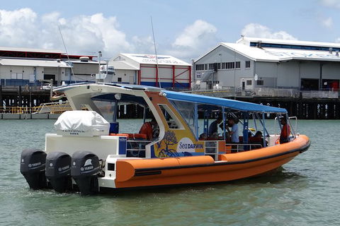 1-Hour Darwin Harbour Highlights Cruise - Inverell Accommodation 4