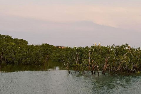 1-Hour Darwin Harbour Highlights Cruise - Inverell Accommodation 7