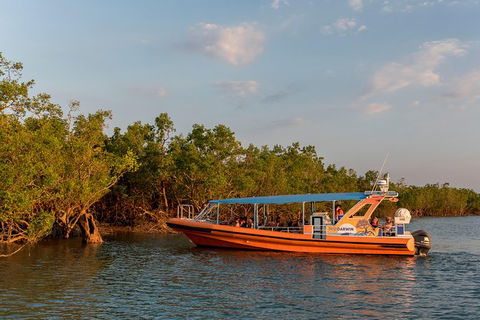 1-Hour Darwin Harbour Highlights Cruise - Inverell Accommodation 3
