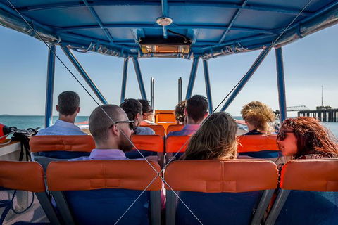 1-Hour Darwin Harbour Highlights Cruise - Inverell Accommodation 6