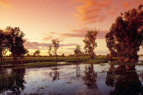 3-Day Kakadu National Park And Arnhem Land Explorer Tour From Darwin - Inverell Accommodation 26