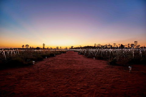 Uluru & Kata Tjuta Sights & Sounds - Inverell Accommodation 16