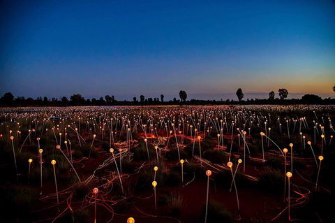 Uluru & Kata Tjuta Sights & Sounds - Inverell Accommodation 8
