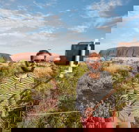 3-Day Ayers Rock and Kings Canyon Camping Tour - Inverell Accommodation