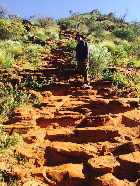 4-Day 4WD Camping Tour: Uluru, Kata Tjuta, And Kings Canyon - Inverell Accommodation 2