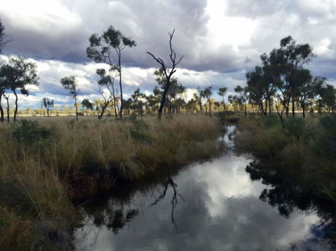 4-Day 4WD Camping Tour: Uluru, Kata Tjuta, And Kings Canyon - Inverell Accommodation 6