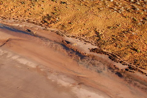 Scenic Flight: Lizard Safari - Inverell Accommodation 1
