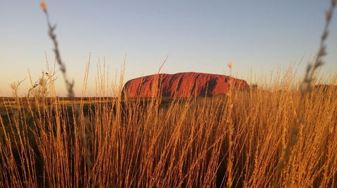 4-Day Camping Trip From Ayers Rock Including Uluru, Kata Tjuta And Kings Canyon - Inverell Accommodation 2