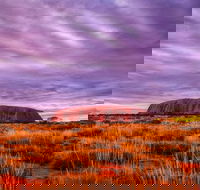 4-Day Camping Trip from Ayers Rock Including Uluru Kata Tjuta and Kings Canyon - Inverell Accommodation