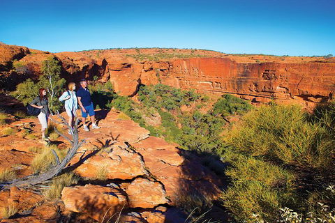 Coach Transfer From Ayers Rock To Kings Canyon - Inverell Accommodation 6
