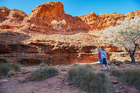 Coach Transfer From Ayers Rock To Kings Canyon - Inverell Accommodation 7