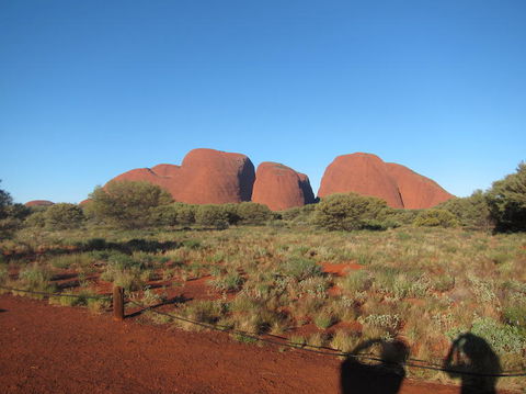 Uluru Sunrise And Kata Tjuta Half Day Trip - Inverell Accommodation 5